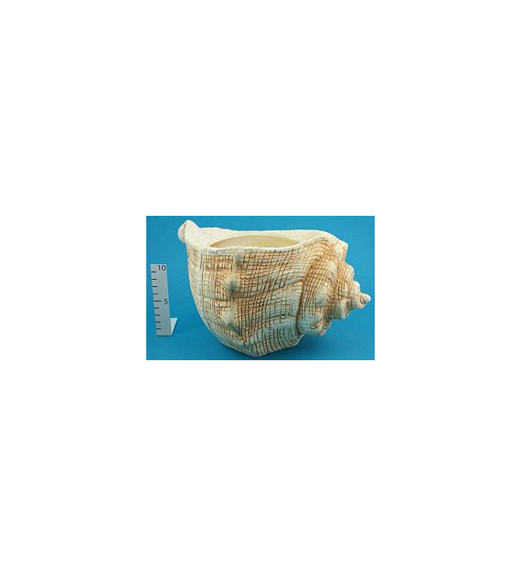 TOP-OSŁONKA MUSZLA TG09234