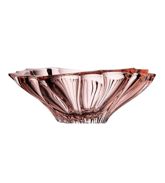 BOH-MISA 330MM PLANTICA ROSE 520358