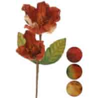 NL-MAGNOLIA
