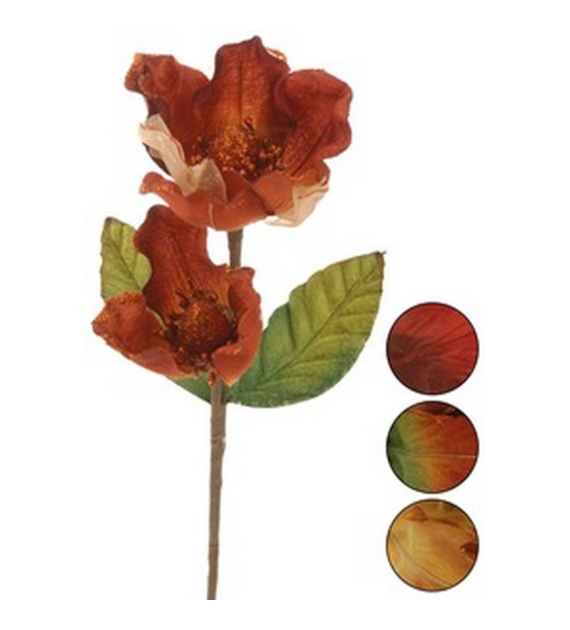 NL-MAGNOLIA