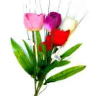 KWIAT SZT.TULIPAN