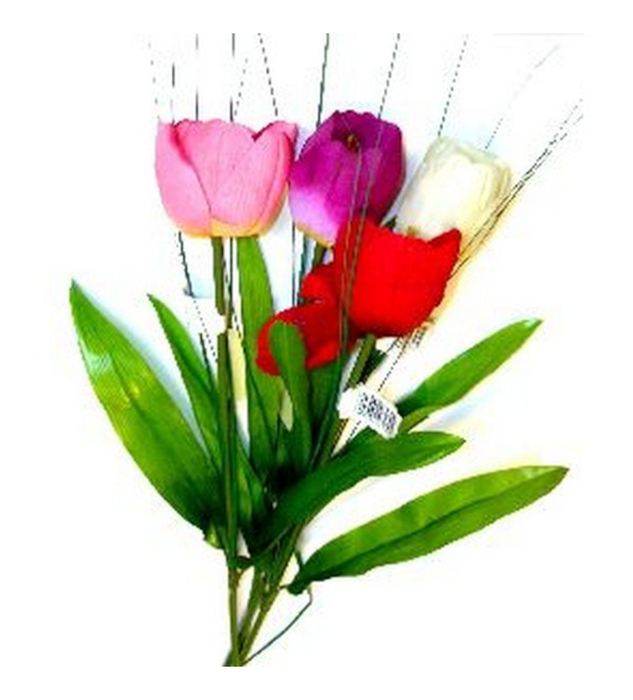 KWIAT SZT.TULIPAN